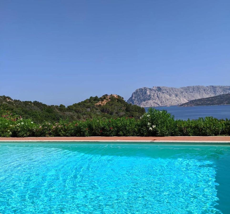 Ferienwohnung San Teodoro Punta Est Curatissimo Bilocale Capo Coda Cavallo Exterior foto