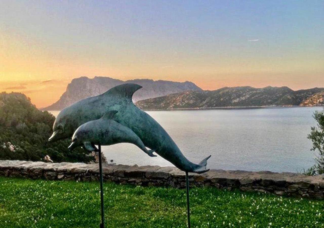 Ferienwohnung San Teodoro Punta Est Curatissimo Bilocale Capo Coda Cavallo Exterior foto