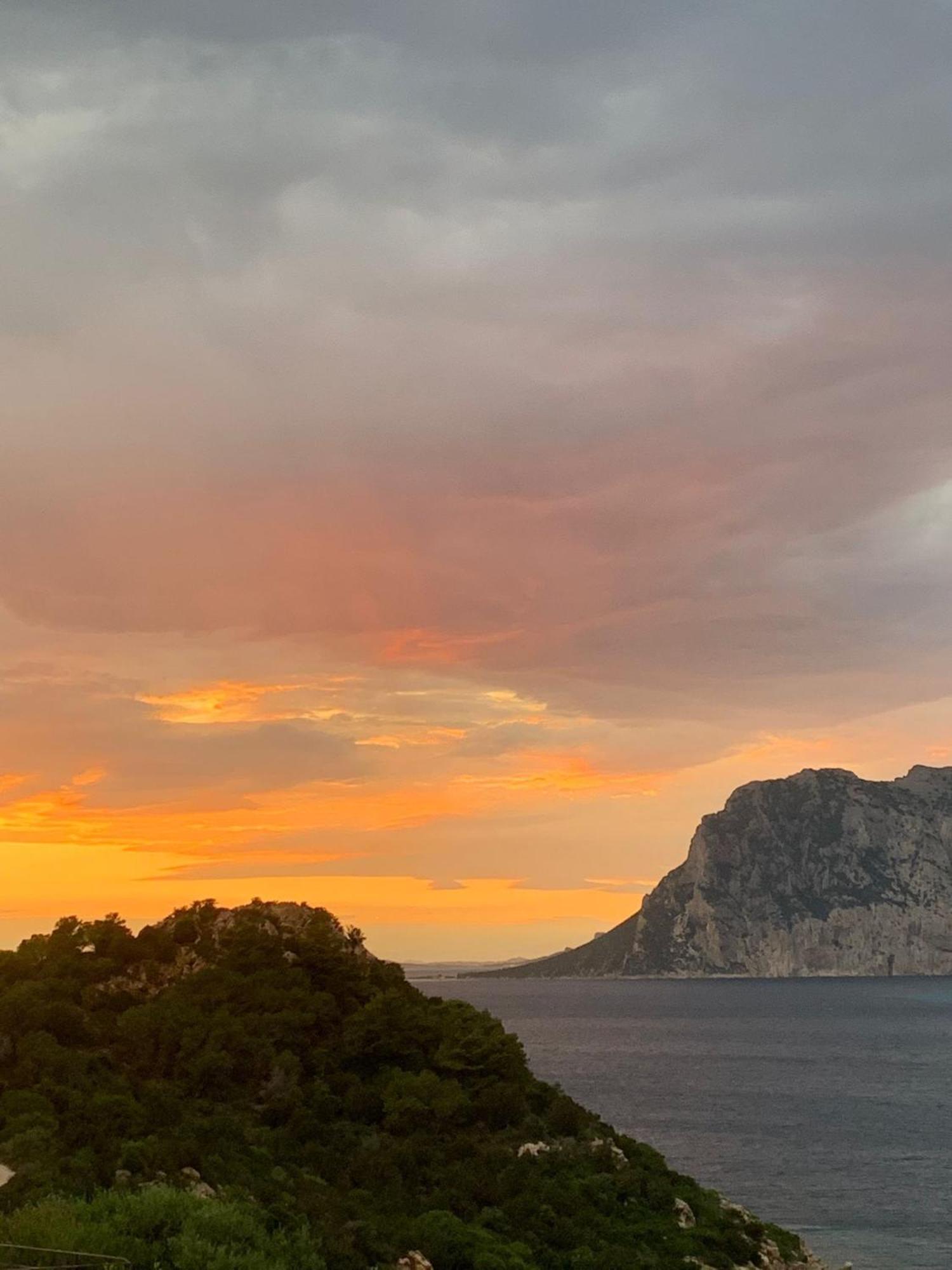 Ferienwohnung San Teodoro Punta Est Curatissimo Bilocale Capo Coda Cavallo Exterior foto